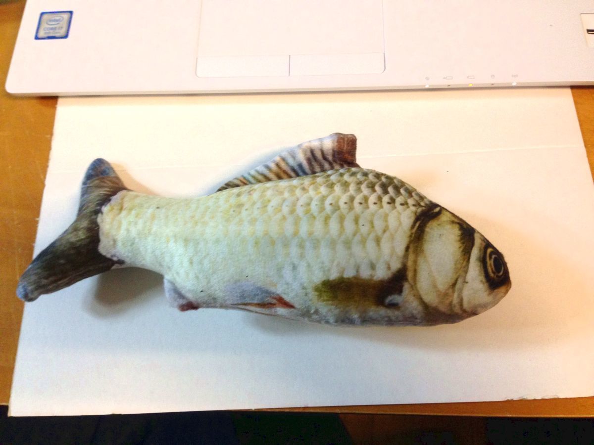 送料無料! にゃんこ用 超リアルお魚おもちゃ けりぐるみ ネコがじがじ大興奮!間違いなしです!
