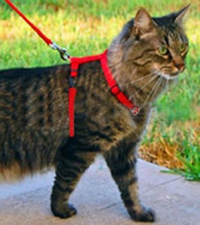 送料無料! にゃんこ用ハーネス+おまけのスカーフ+鈴の3点セット! 猫ちゃんと お散歩 リード ネコ用 散歩ひもです
